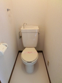 Toilet. Toilet