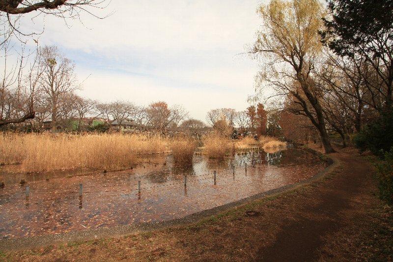 park. 480m until Zenpukuji park