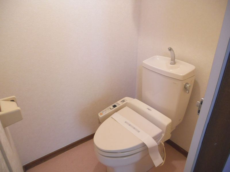 Toilet. Washlet toilet