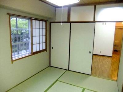 Living and room. Two-sided lighting Japanese-style room