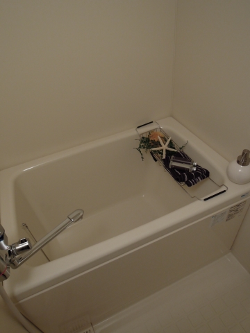 Other. Bathtub