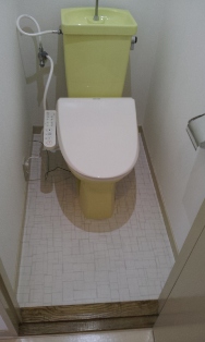 Toilet. With Washlet