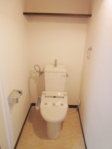 Toilet. There is a shelf