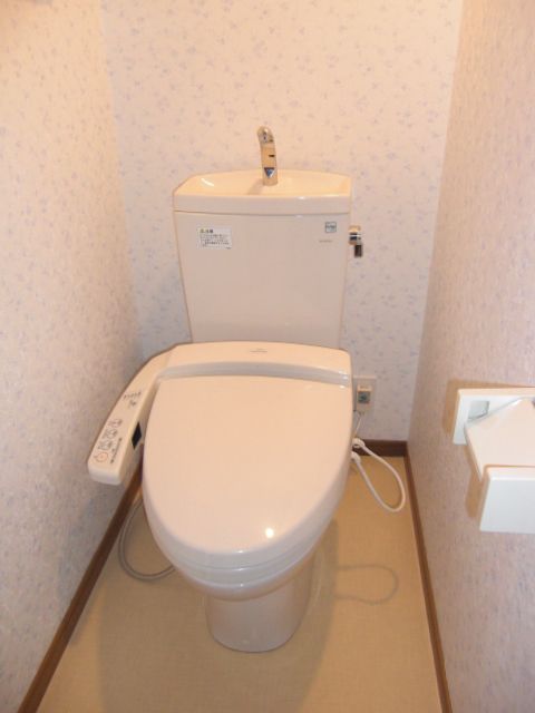 Toilet. Bidet