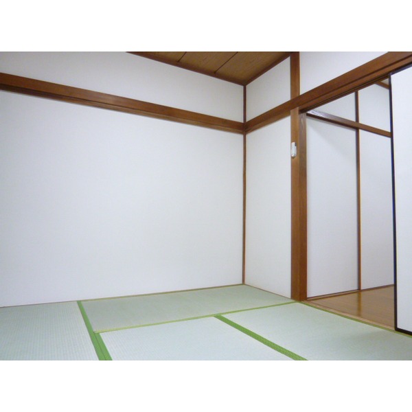 Living and room. Tatami beautiful