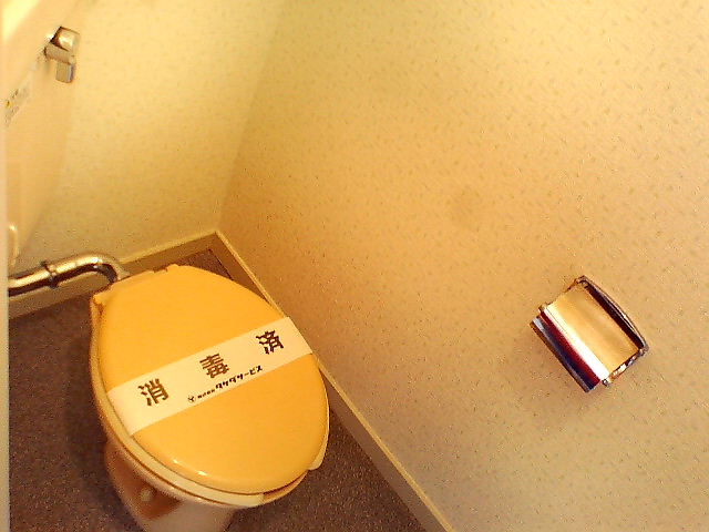 Toilet. Since the bath toilet is another has become a space to settle.