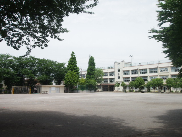 Primary school. (Elementary school) up to 100m