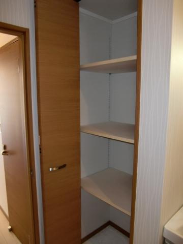 Wash basin, toilet. Shampoo is a dresser side of the housing. There is also a size, I think that come in handy.