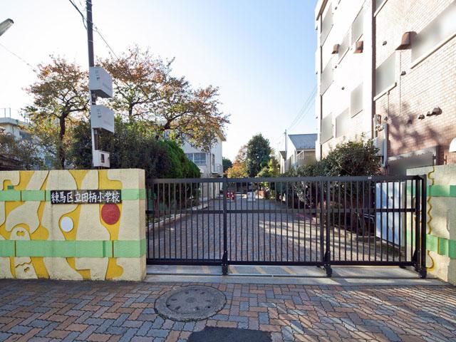 Primary school. 817m up to elementary school Nerima Tatsuta pattern
