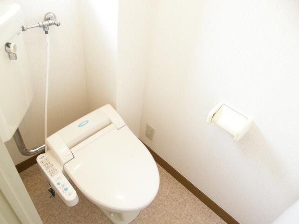 Toilet. Bidet with toilet