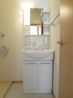 Washroom. With separate wash basin