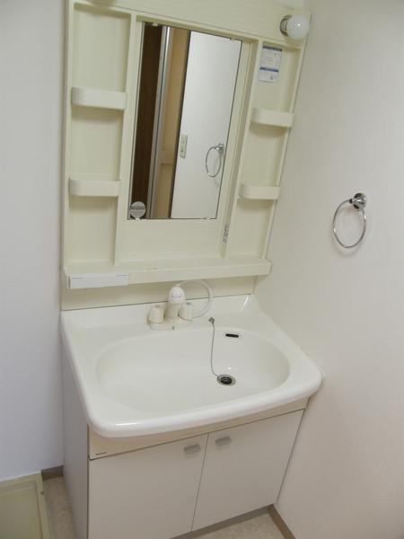 Washroom. Vanity shower