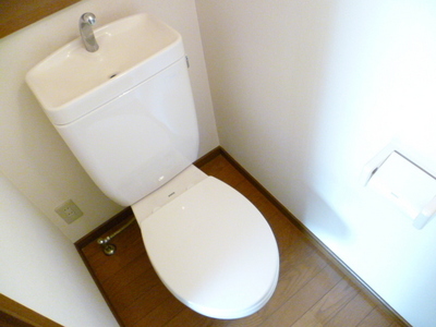 Toilet. Toilet (reference photograph of another in Room)