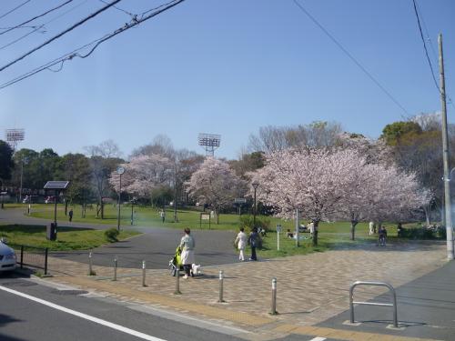 park. 229m until Johoku park (park)