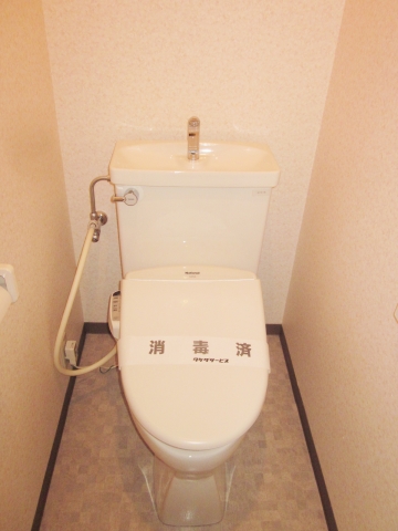 Toilet. Cleaning function toilet seat