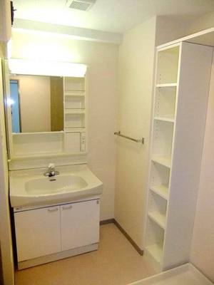 Washroom. Vanity and storage shelves