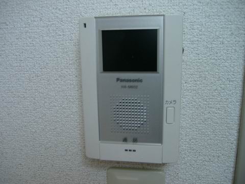 Security. With TV monitor intercom