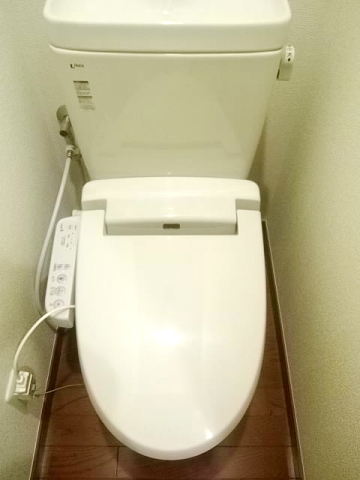 Toilet. Separated toilet