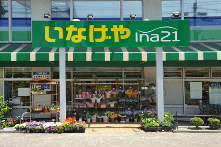 Other. Inageya ina21 540m to Nerima Nakamuraminami shop (Other)