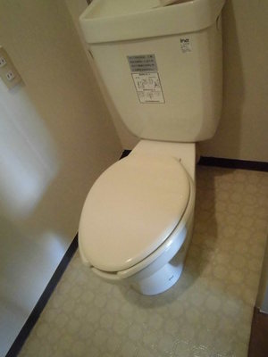 Toilet. Toilet