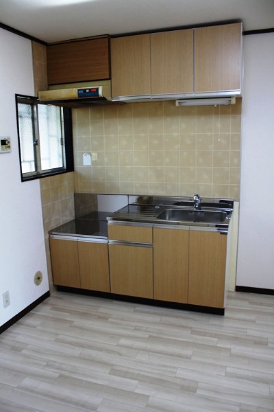 Kitchen. Gas stove is correspondence of the kitchen