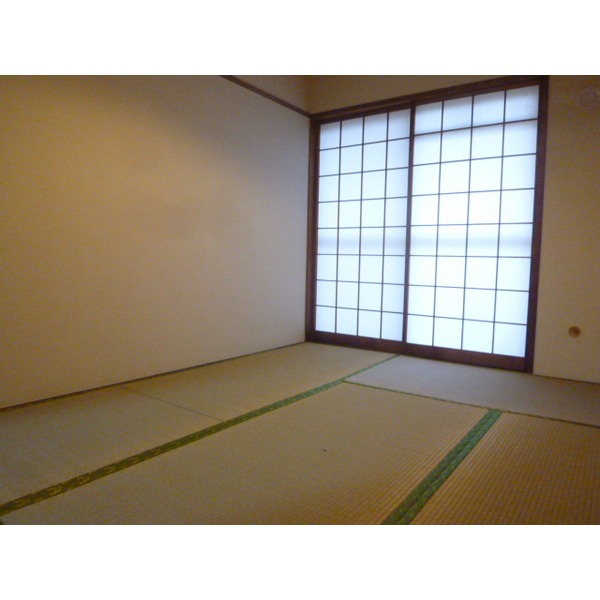 Living and room. Japanese-style room part