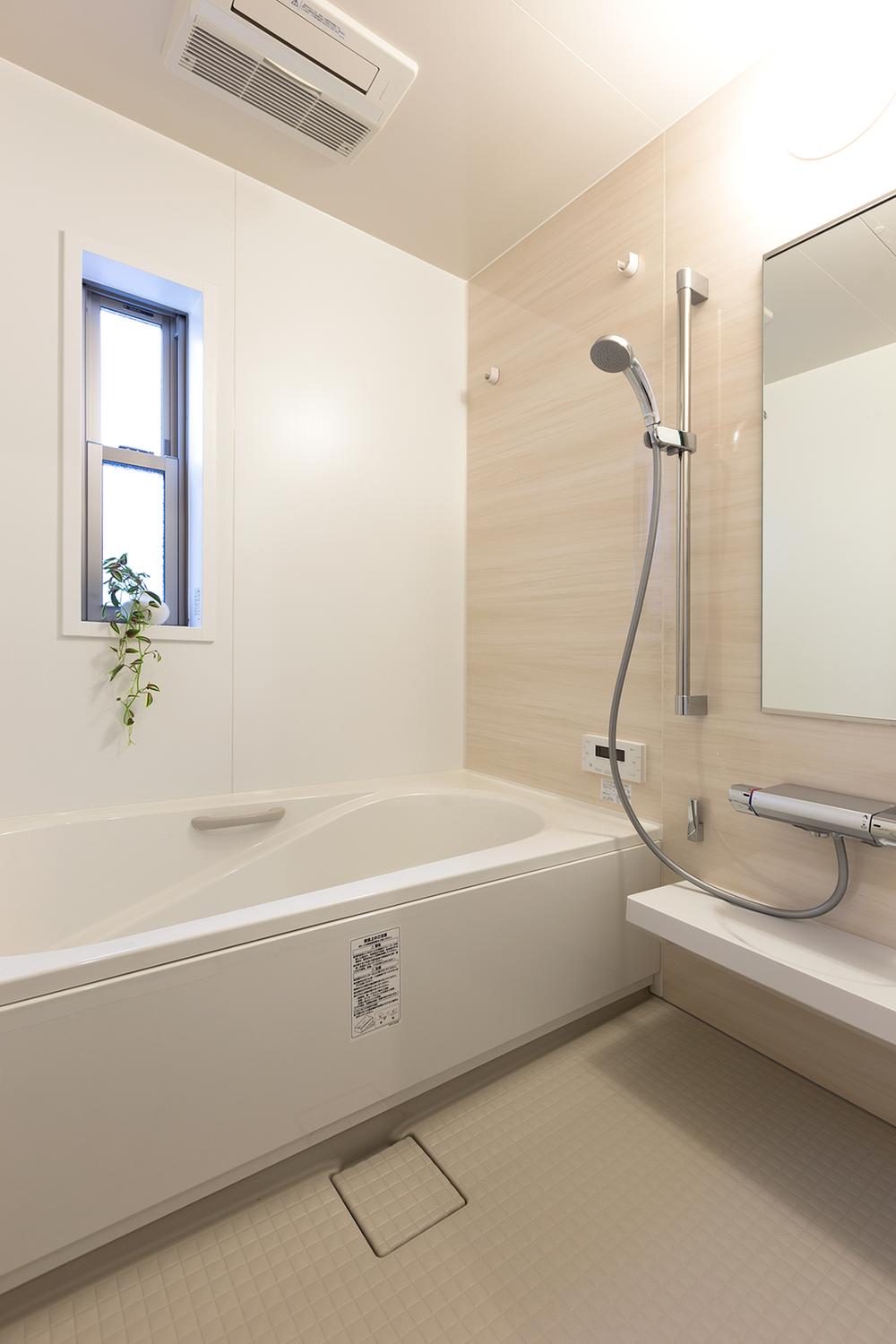 Bathroom. Local model house (December 2013 shooting)