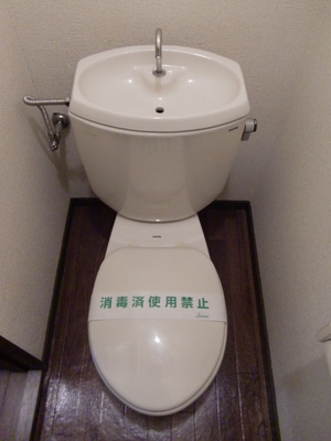 Toilet