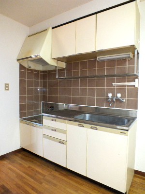 Kitchen. Two-burner you can stove installation