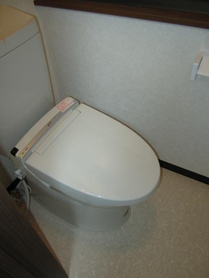 Toilet. New Washlet toilet