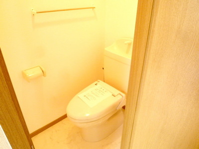 Toilet. Toilet with cleanliness