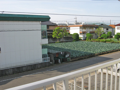 View. balcony!