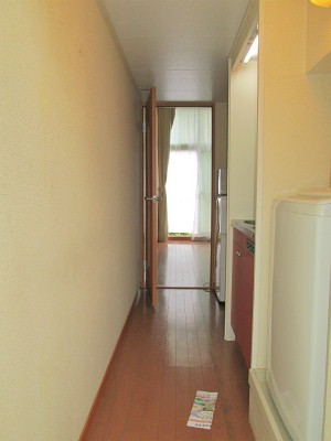 Other room space. Corridor is the flooring