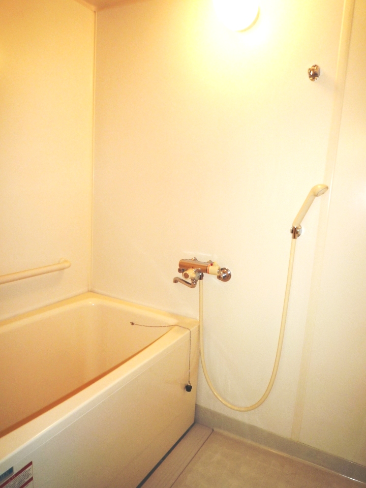 Bath. With handrail
