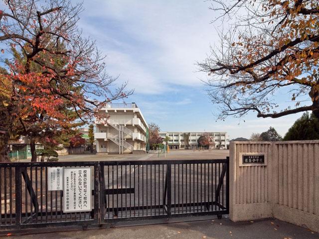 Primary school. Nishi Municipal Hoya to elementary school 710m