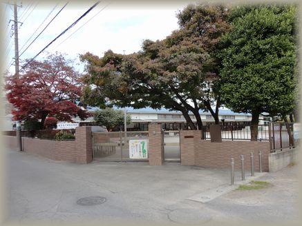Primary school. Hoya until the elementary school 617m