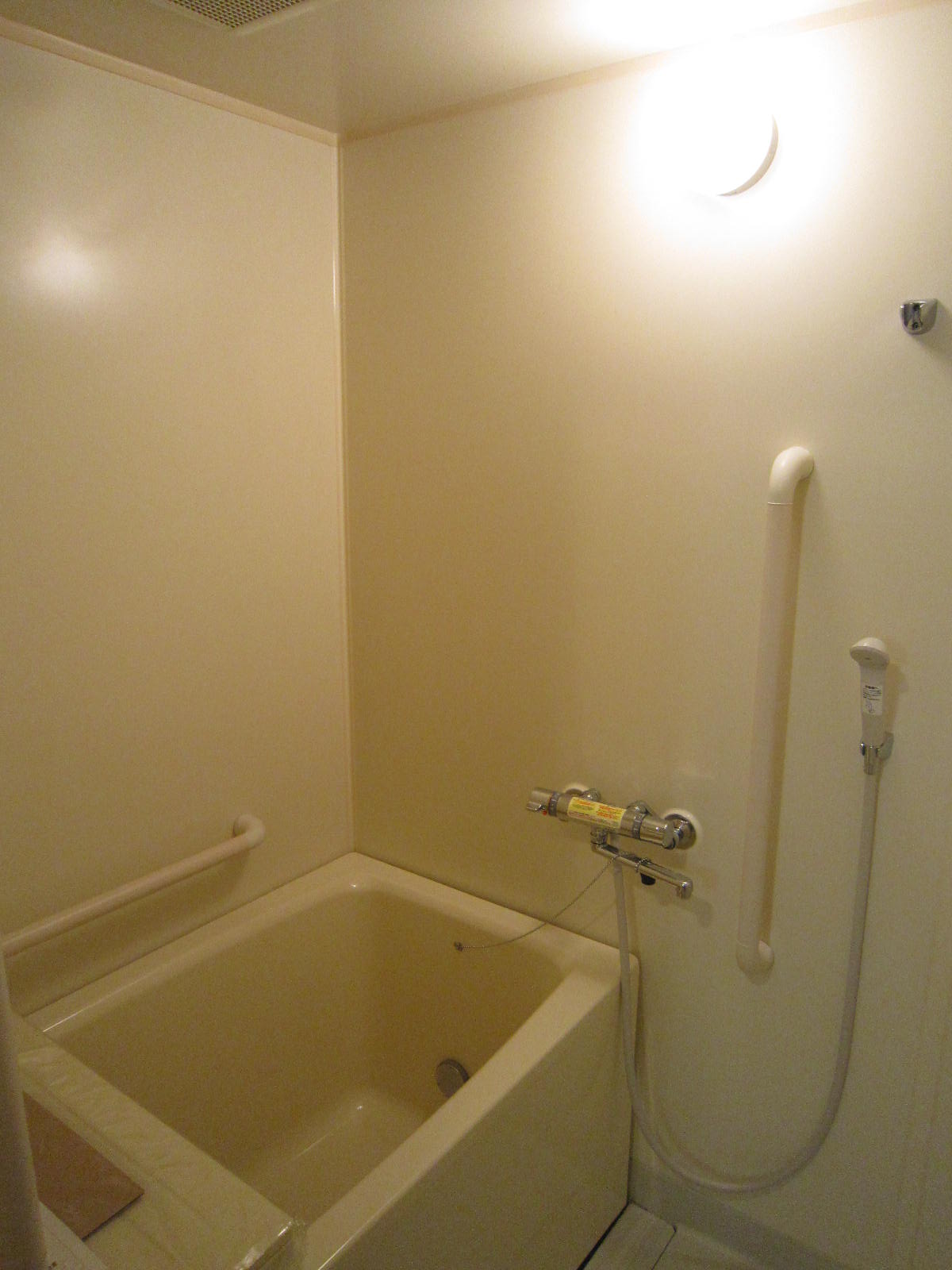 Bath. With handrail