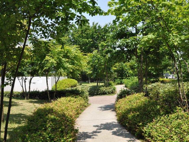 Garden. Park West Tokyo West block courtyard