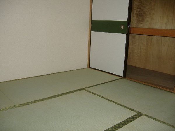 Other room space. Japanese style room