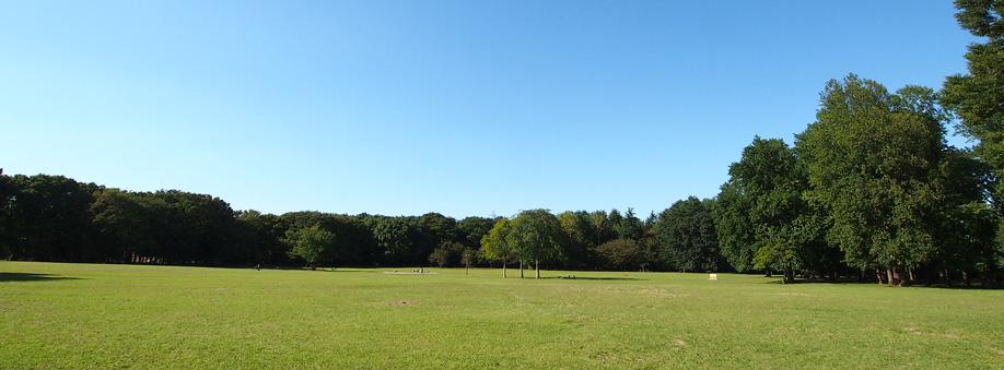 Koganei Park (7 min walk ・ About 550m)