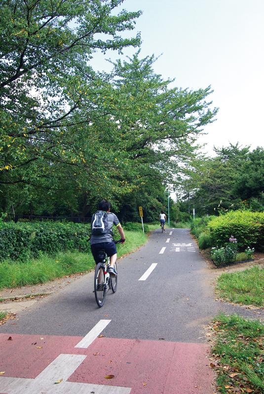 park. Featured here is the 600m cycling is a hobby couple to Tamako bike path. Road that leads up to Tamako is the cycling road to enjoy the four seasons, surrounded by trees.