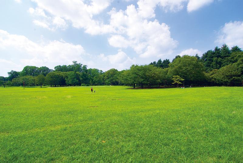 park. Koganei this vast park located along the 785m Tamagawa to the park is, It makes me feel rich natural color throughout the year, It is one of the leading attractions in Tokyo.