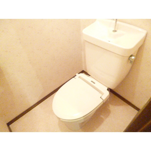 Toilet. Toilet