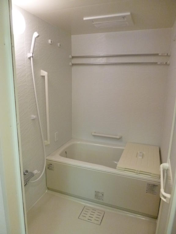 Bath. Bright bathroom. handrail, With bathroom ventilation dryer.