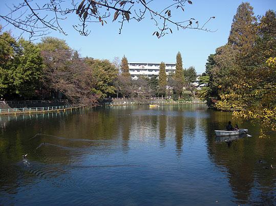 park. 1417m to Musashi Seki park