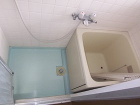 Bath. Bathroom