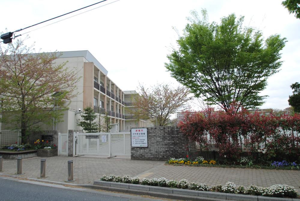 Primary school. Zelkova 800m up to elementary school