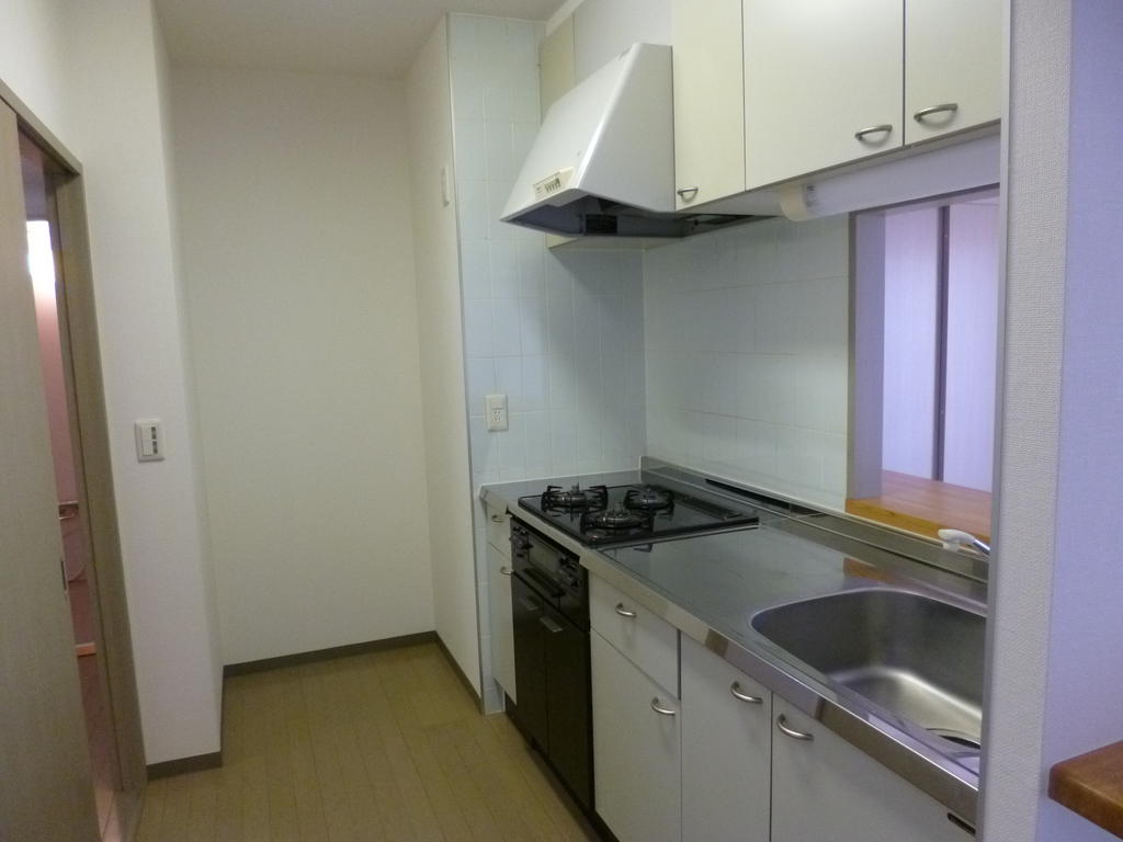 Kitchen. Counter kitchen - with stove