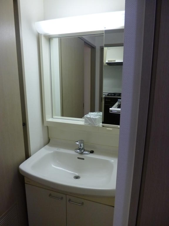 Washroom. Bathroom vanity