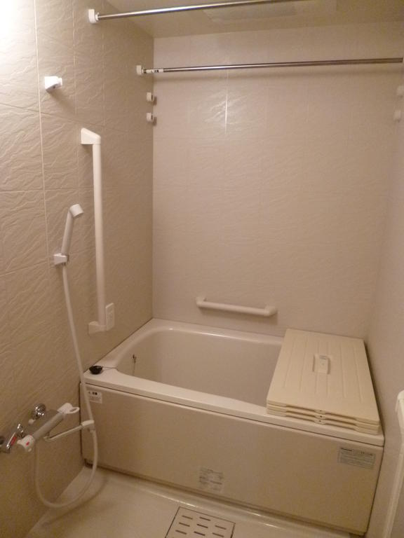 Bath. Bright bathroom. handrail, With bathroom ventilation dryer.